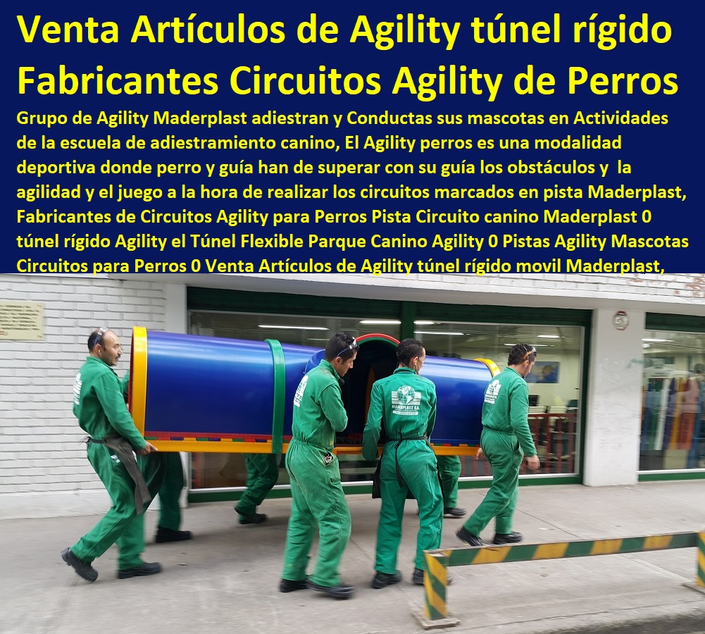 Fabricantes de Circuitos Agility para Perros Pista Circuito canino Maderplast 0 túnel rígido Agility el Túnel Flexible Parque Canino Agility 0 Pistas Agility Mascotas Circuitos para Perros 0 Casas Para Perros Y Mascotas, Agility De Perros, Pistas De Adiestramiento, Caninos Para Perros, Equipo De Agility Para Perros, Cunas Y Parideras Para Perros, Parques Para Perros, Corrales Para Perros, Jaulas cuidado de perros, Venta Artículos de Agility túnel rígido Fabricantes de Circuitos Agility para Perros Pista Circuito canino Maderplast 0 túnel rígido Agility el Túnel Flexible Parque Canino Agility 0 Pistas Agility Mascotas Circuitos para Perros 0 Venta Artículos de Agility túnel rígido
